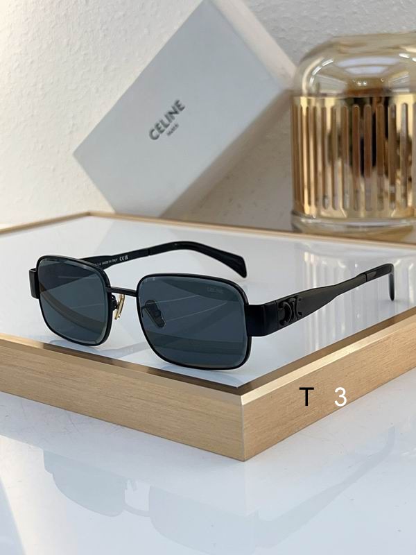 Celine Sunglasses ID:20240804-19